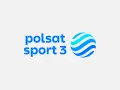 Logo Polsat Sport 3. Niebieski napis "polsat sport 3" obok stylizowanej kuli z niebieskimi pasami.