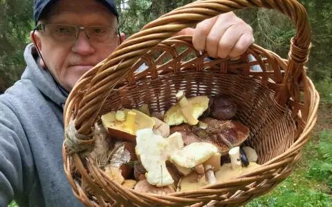 Mężczyzna w okularach trzyma koszyk pełen grzybów. Czy to koszyk grzybów milionerzy?