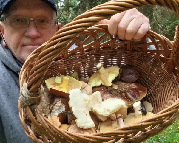 Mężczyzna w okularach trzyma koszyk pełen grzybów. Czy to koszyk grzybów milionerzy?